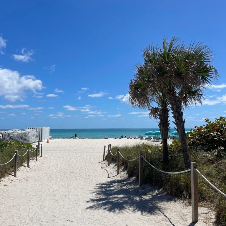 Miami Beach Pathway leading to a sunny beach with palm trees and blue ocean in the background.